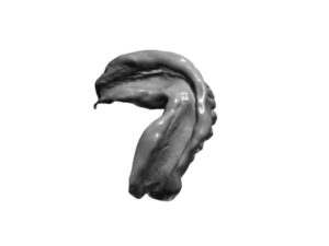 3D representation of an existing lower denture