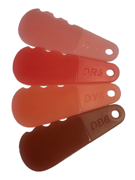 Digital Denture shades